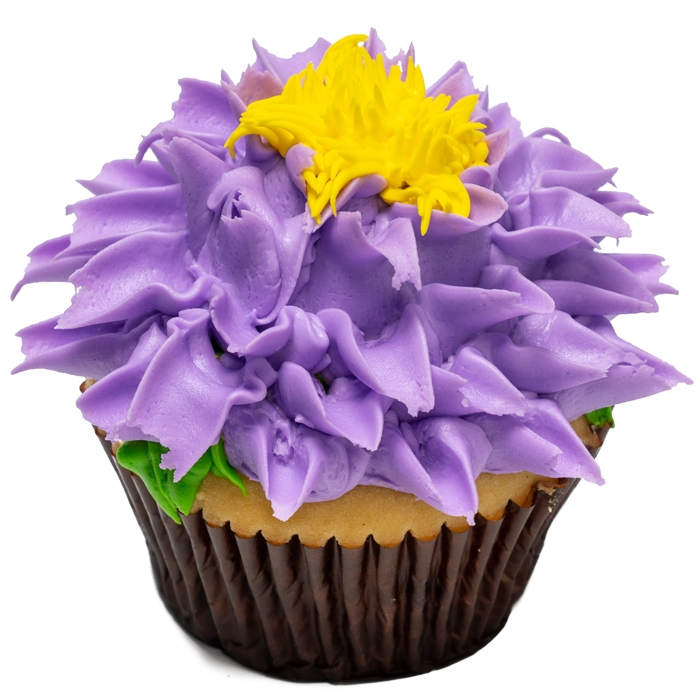 Jumbo Cupcakes Jumbo Cupcakes